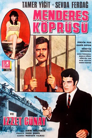 Постер: Menderes Köprüsü