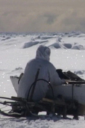 Постер: Seal Hunt