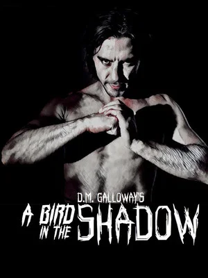 Постер: A Bird In The Shadow