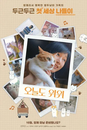 Постер: The Journey of the 12 Cats