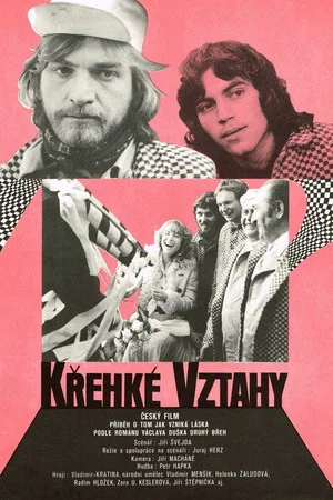 Постер: Fragile Relationships