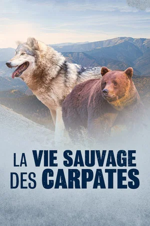 Постер: La Vie sauvage des Carpates