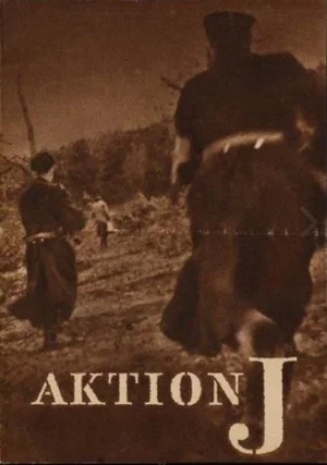 Постер: Action J