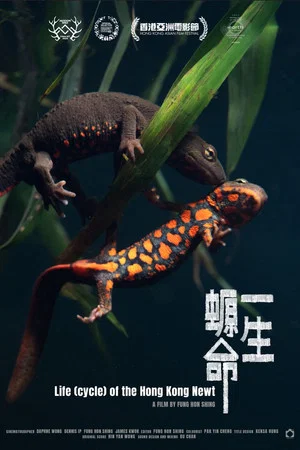 Постер: Life (cycle) of the Hong Kong Newt