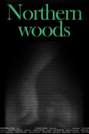 Постер: Northern Woods