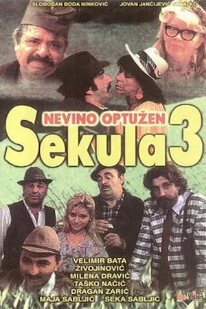 Постер: Sekula Innocent Accused