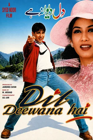 Постер: Dil Deewana Hai