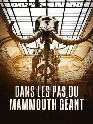Постер: Dans les pas du mammouth géant