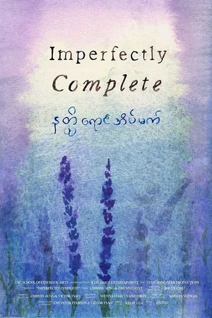Постер: Imperfectly Complete