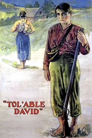 Постер: Tol'able David