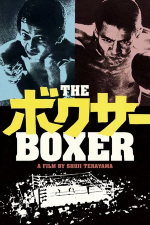 Постер: The Boxer