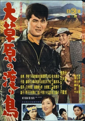 Постер: The Rambler Rides Again