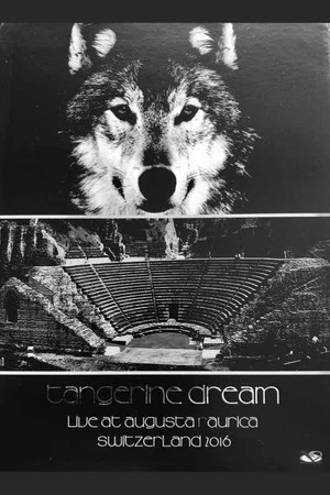 Постер: Tangerine Dream - Live At Augusta Raurica Switzerland