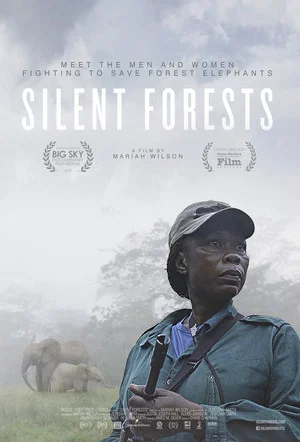 Постер: Silent Forests
