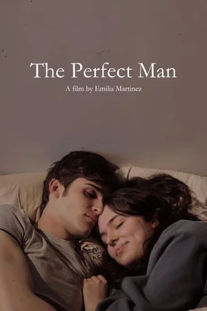 Постер: The Perfect Man