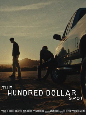 Постер: The Hundred Dollar Spot