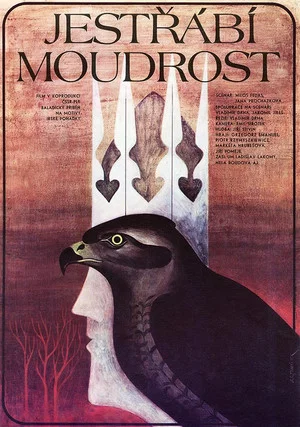 Постер: Jestřábí moudrost