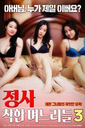 Постер: An Affair: Kind Daughters-in-law 3