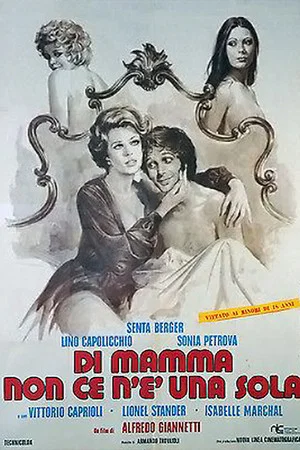 Постер: Di mamma non ce n'è una sola