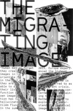 Постер: The Migrating Image