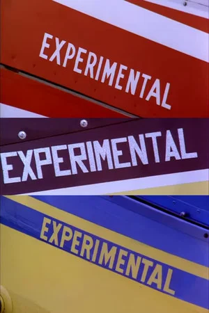 Постер: Experimental
