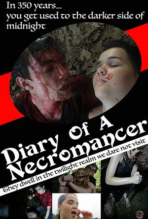 Постер: Diary of a Necromancer