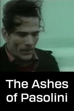 Постер: The Ashes of Pasolini