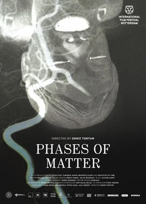 Постер: Phases of Matter