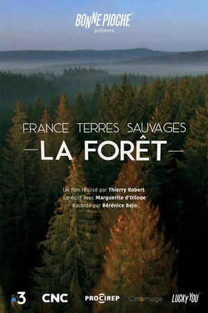 Постер: France terres sauvages : La Forêt