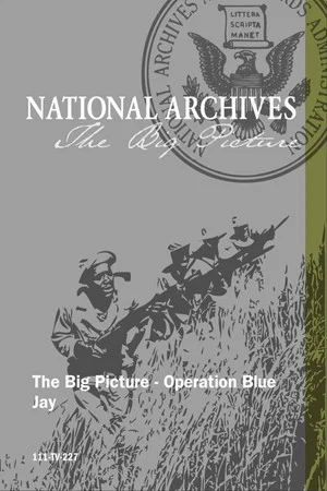 Постер: Operation Blue Jay