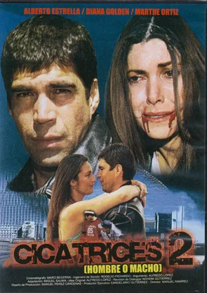 Постер: Scars 2