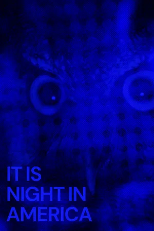 Постер: It Is Night in America