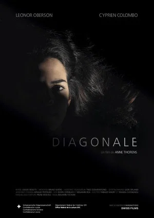Постер: Diagonale
