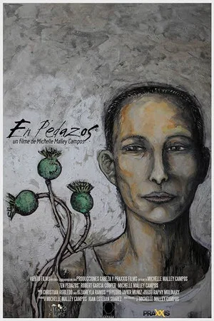 Постер: En pedazos