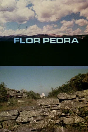 Постер: Flor Pedra