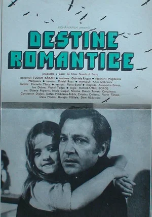 Постер: Romantic Destinies