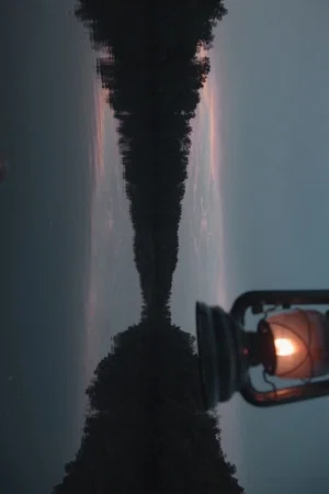 Постер: Firefly