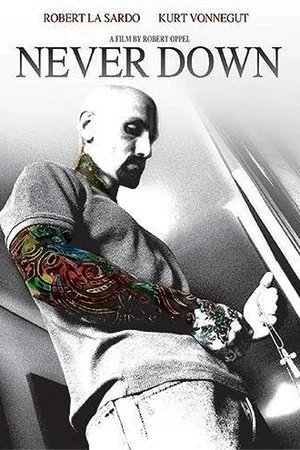 Постер: Never Down
