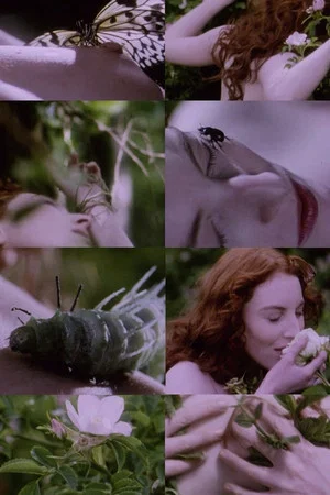 Постер: Belle de Nature