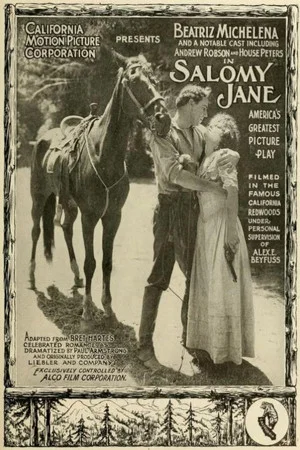 Постер: Salomy Jane