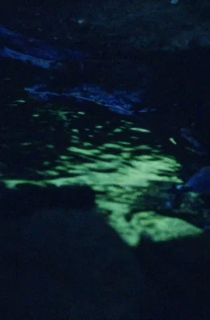 Постер: La Source De La Loire