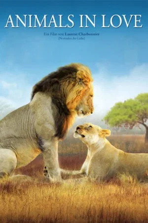 Постер: Animals in Love