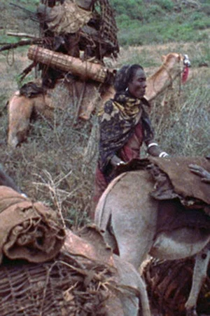 Постер: Boran Women
