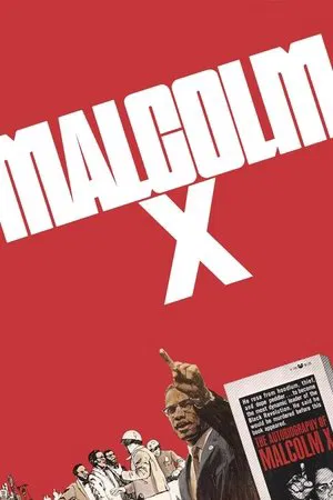 Постер: Malcolm X