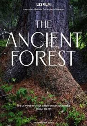 Постер: The Ancient Forest