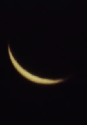 Постер: The Moon