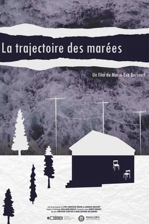 Постер: Tide's Trajectories