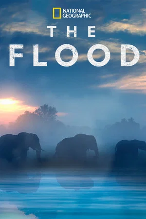 Постер: The Flood