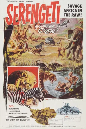 Постер: Serengeti Shall Not Die