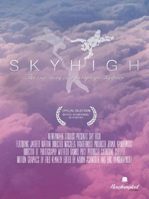 Постер: Sky High